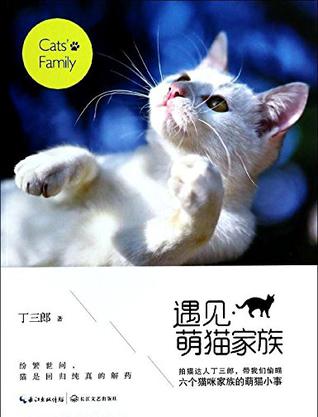 遇见•萌猫家族