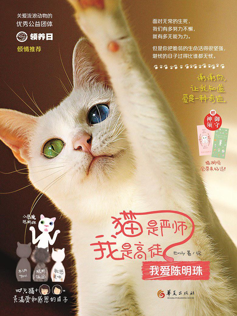 猫是严师，我是高徒