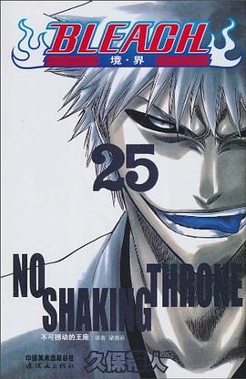 BLEACH 境·界25