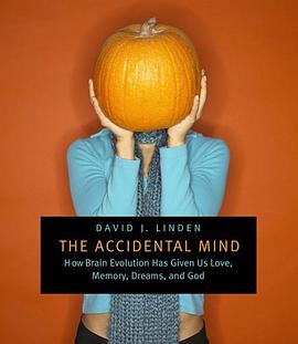 The Accidental Mind