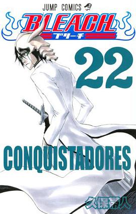 BLEACH―ブリーチ― 22