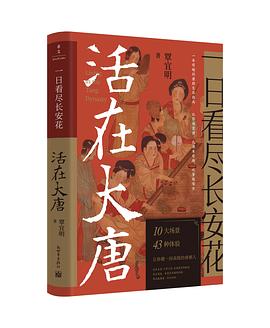 一日看尽长安花：活在大唐