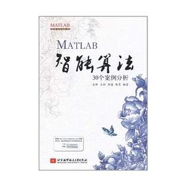 MATLAB智能算法30个案例分析