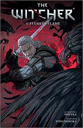 The Witcher Volume 4